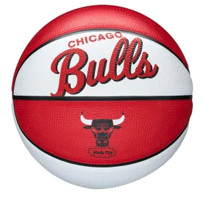 Chicago Bulls Team Retro Mini Basketball