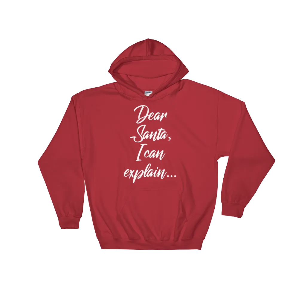 Dear Santa Christmas Hoodie