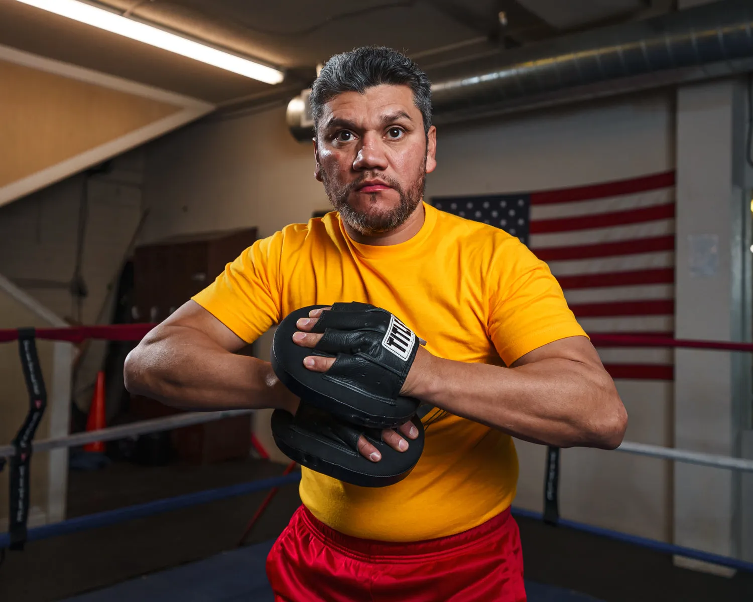 TITLE Boxing Razor Punch Mitts 2.0