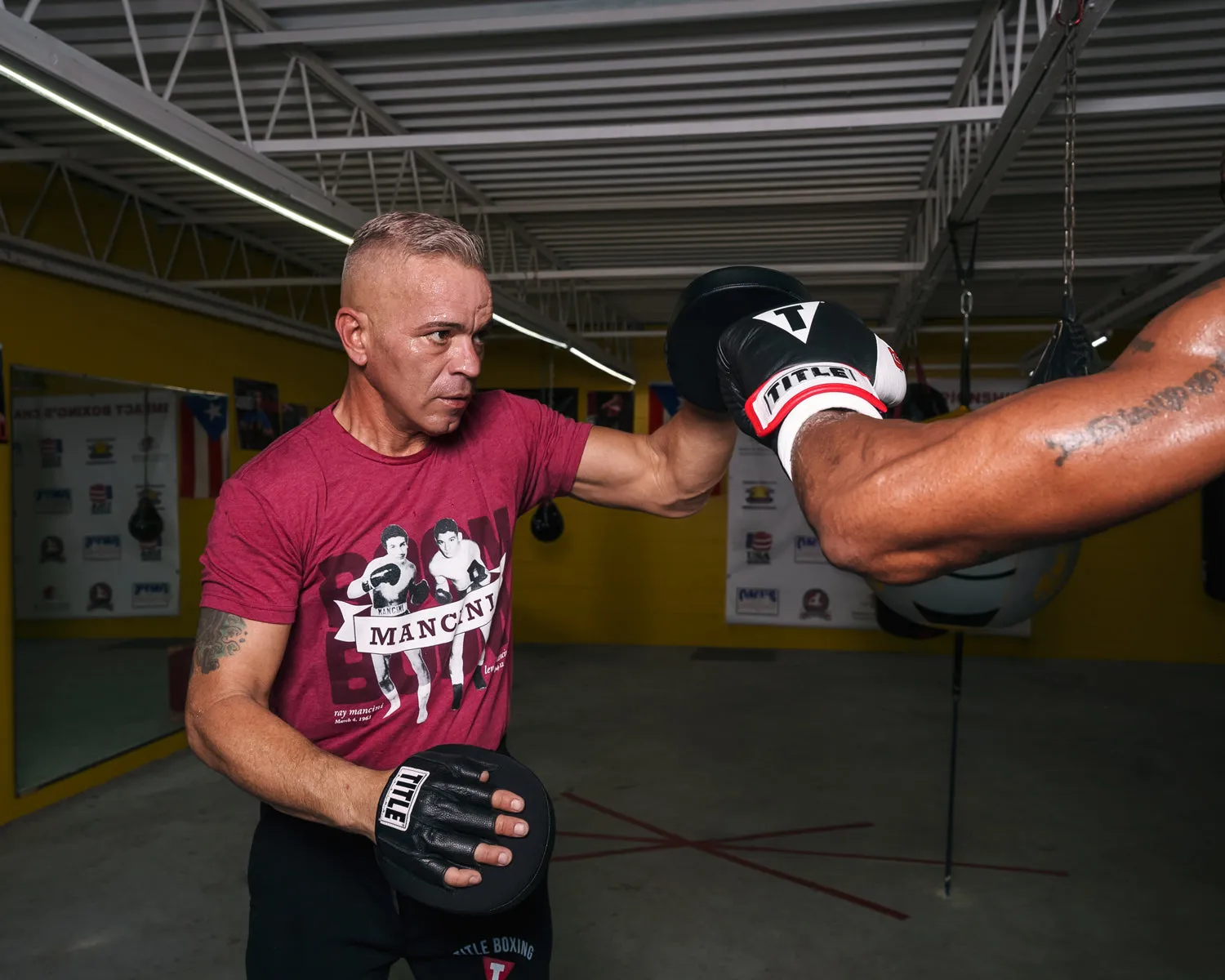 TITLE Boxing Razor Punch Mitts 2.0